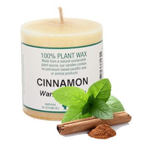 709_e.o. candle 2x2_cinnamon_300x300.jpg.jpg